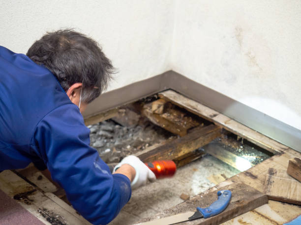 Best Water Damage Restoration  in Sharpsville, PA
