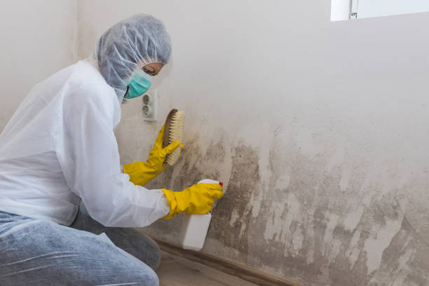 Best Mold Testing  in Sharpsville, PA