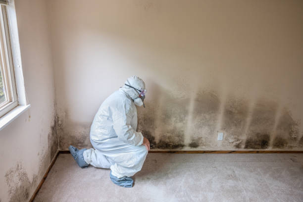 Best Commercial Mold Removal  in Sharpsville, PA