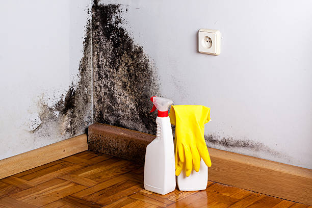 Best Home Mold Removal  in Sharpsville, PA