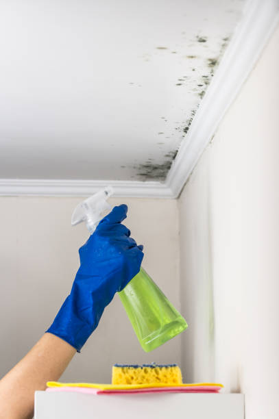 Best Professional Mold Removal  in Sharpsville, PA